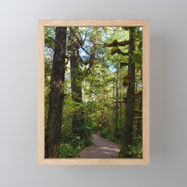 Vegetation growing along the Wild Pacific Trail, Ucluelet BC Framed Mini Art Print