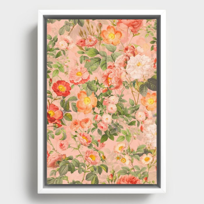 Peach Redouté Roses Summer Flowers Botanical Garden Framed Canvas