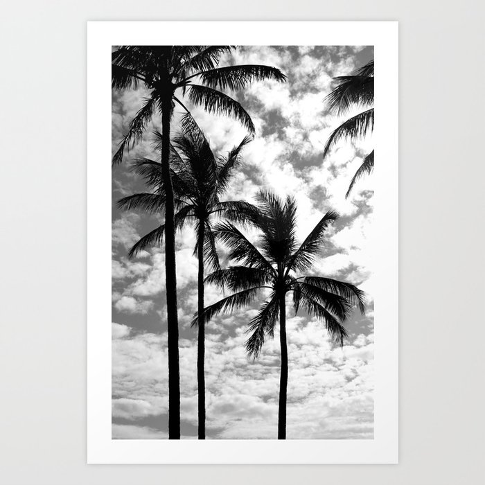 Palm Trees #235 Art Print