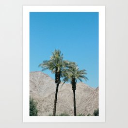 Palm Trees in Indio Art Print