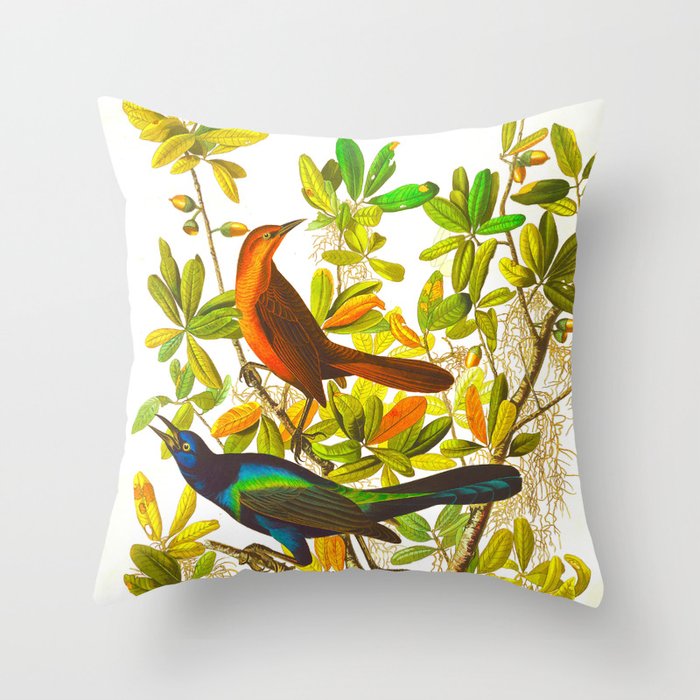 Colorful Feathers Throw Pillow