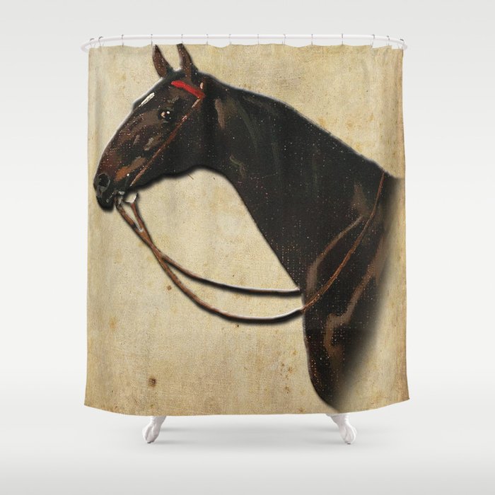 Vintage Equestrian Horse Portrait Shower Curtain By Acoetzer