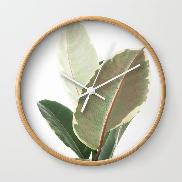 Ficus Teneke Wall Clock