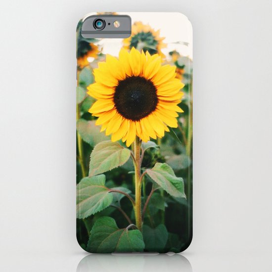 Sunny iPhone & iPod Case