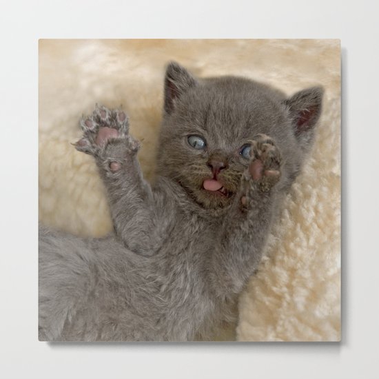 Hands Up !! Metal Print