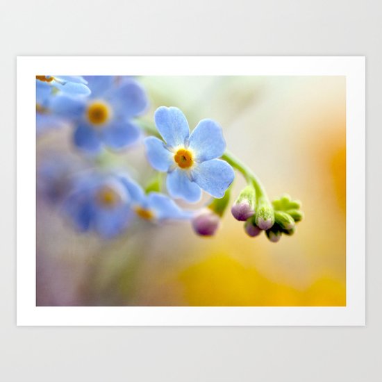 FORGETMENOT Art Print