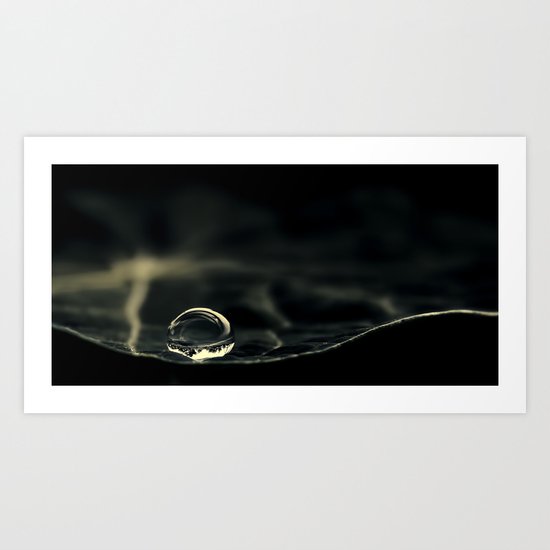 leaf Art Print