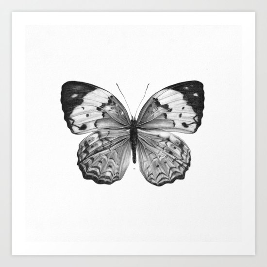 Butterfly Art Print