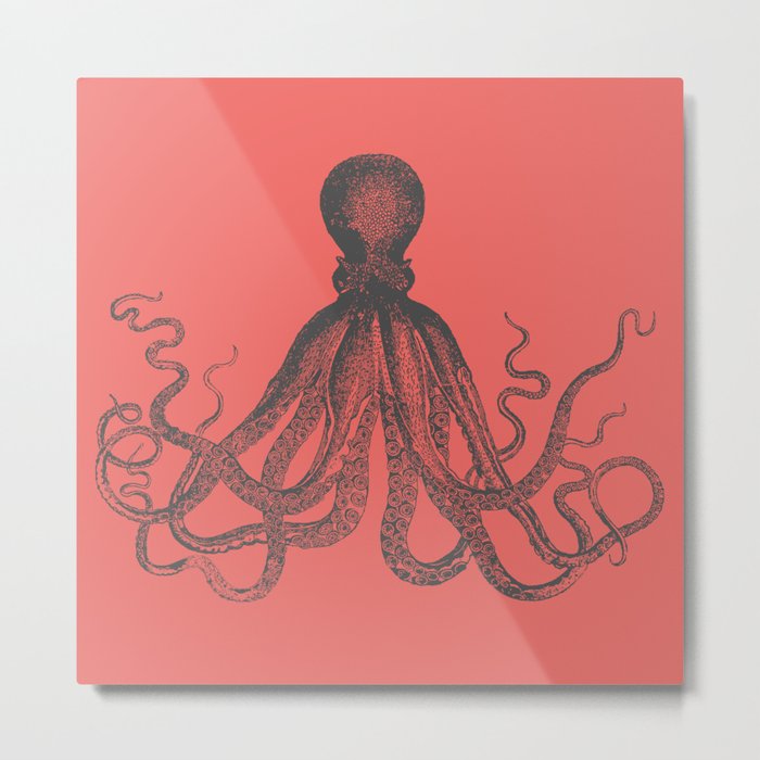 Octopus in Coral  Metal Print