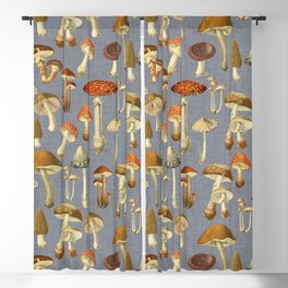 Mushroom navy Blackout Curtain