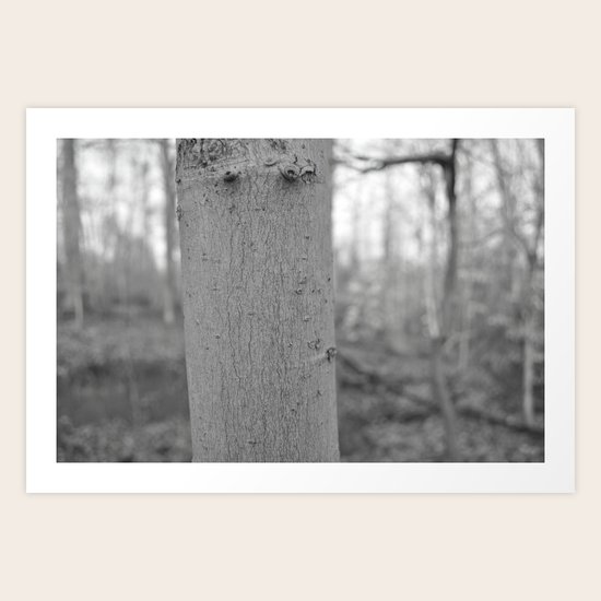 Lost Art Print