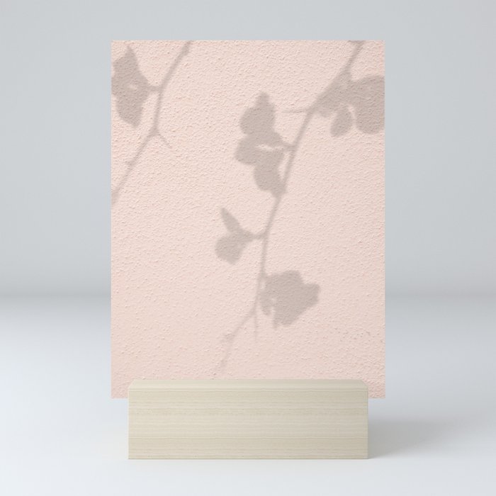 Pink Pastel Color Wall | Branch with Flowers Shadow Art Print | Italy Summer Travel Photography Mini Art Print