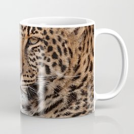 South Africa Photography - Two Beautiful Leopards Coffee Mug