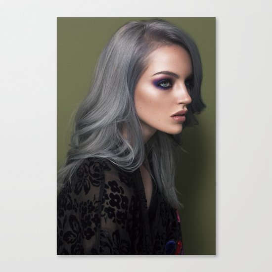 Silver Canvas Print