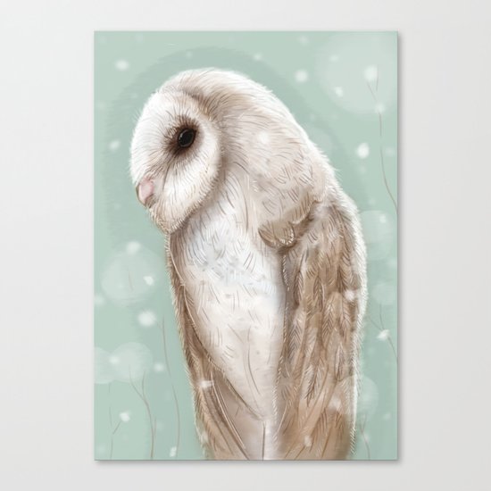 Winter owl Canvas Print