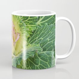 Toledo Cabbage Coffee Mug
