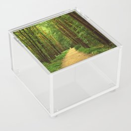 Forest path Acrylic Box