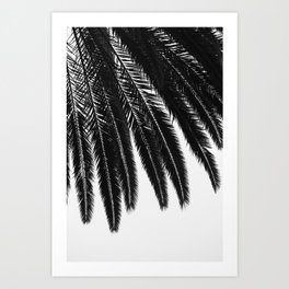 Palm Trees #472 Art Print