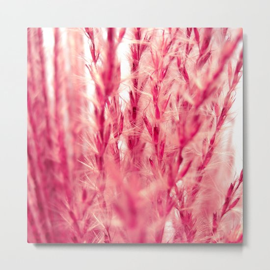 red grasses II Metal Print