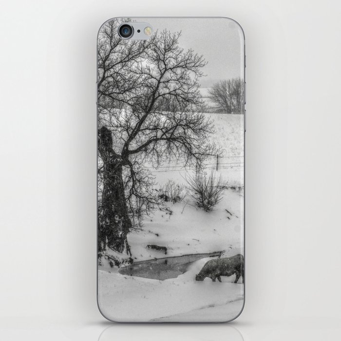 Winter in the Country iPhone Skin