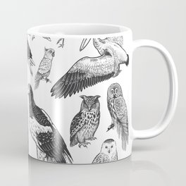 Birds of wildlife set. Eagles, owls, parrots, pelican, penguins, ibis, puffin isolated on white background. Tropical, exotic, water birds. Black white illustration. Vintage. Vintage. Realistic graphics Mug
