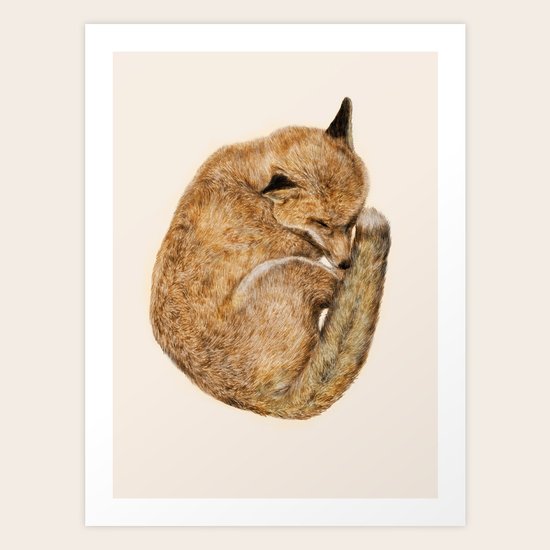 Cosy Art Print