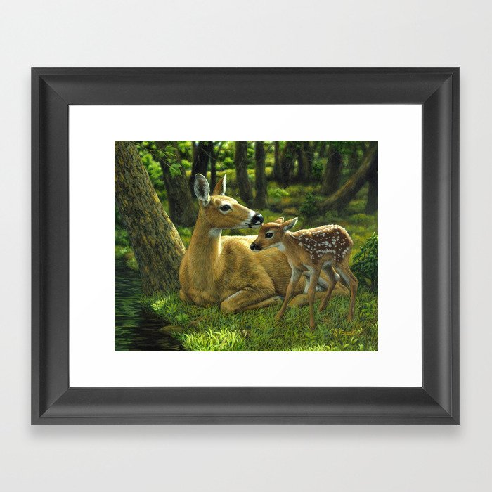 Whitetail Deer and Cute Spring Fawn Framed Art Print