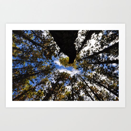Art By Steve Augle Art Print