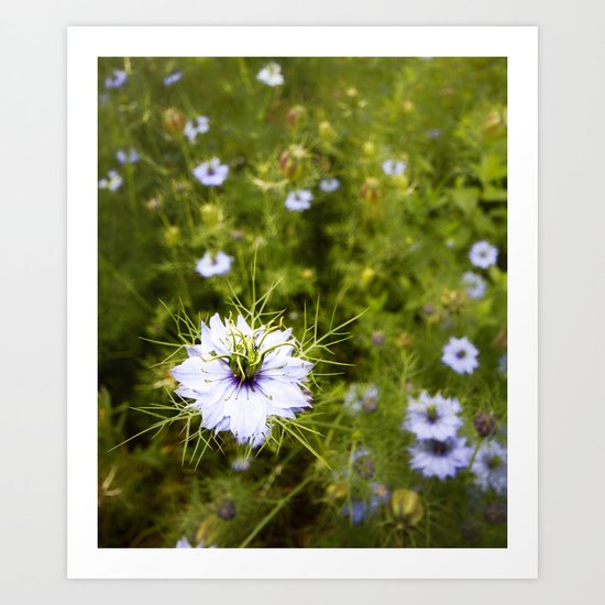 Burst Art Print