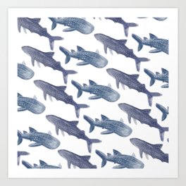 Whale Sharks Art Print