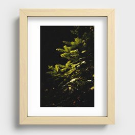 In the Forest Recessed Framed Print