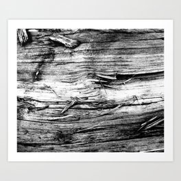 Wood Texture II Art Print