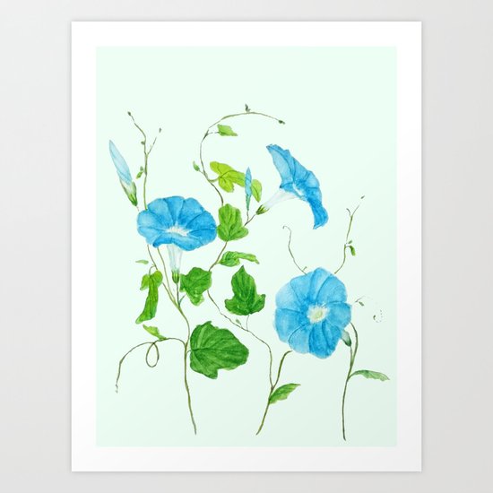 blue morning glory Art Print