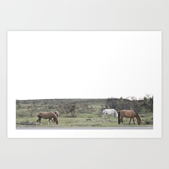 Horses Art Print
