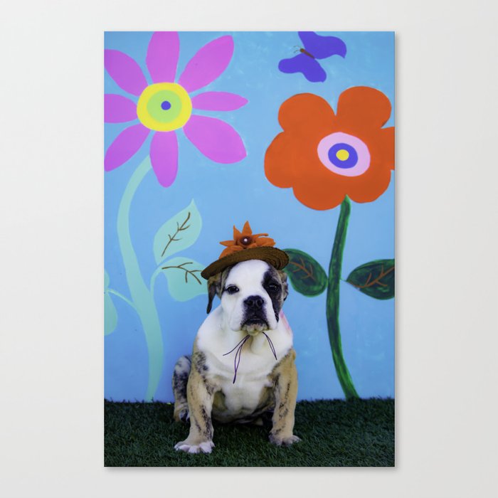 english bulldog hat
