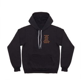 Sugar and Spice and Equal Fucking Rights - Feminist Hoody