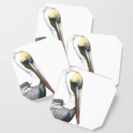 Pelican Portrait Coaster