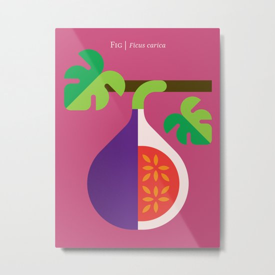 Fruit: Fig Metal Print