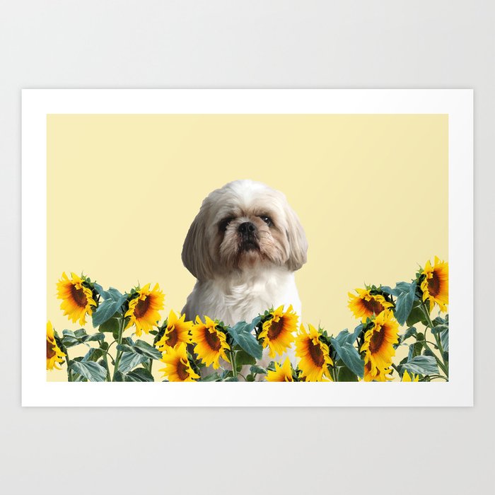 Paul Top Model - Shih tzu dog - Sunflower leaves Art Print
