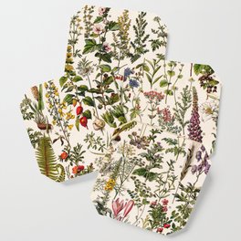 Adolphe Millot - Plantes Medicinales B - French vintage poster Coaster
