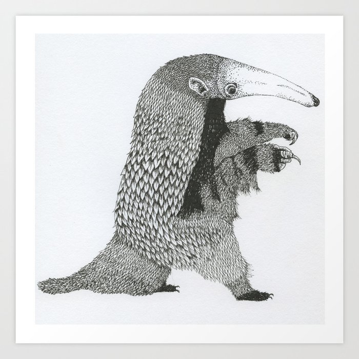 Aardvark Art Print