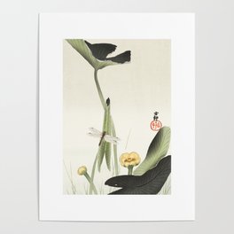 Libelle and lotus - Japanese Print Poster