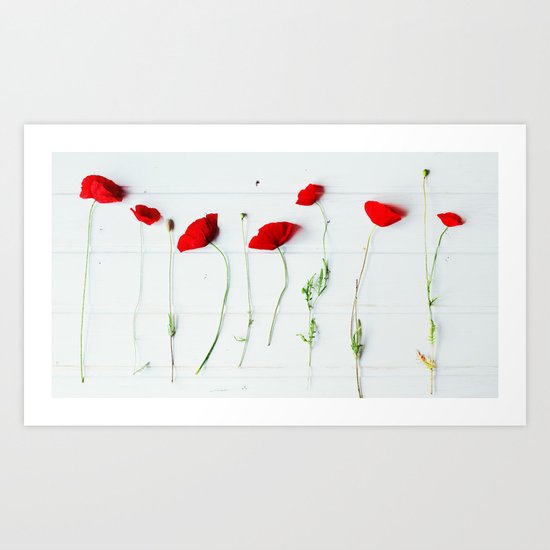 Poppies. Art Print