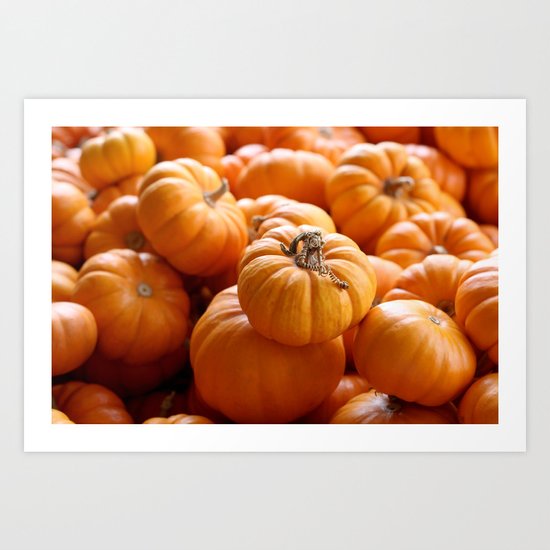 'Lil Pumpkins Art Print