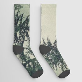 Foggy Pine Trees Socks