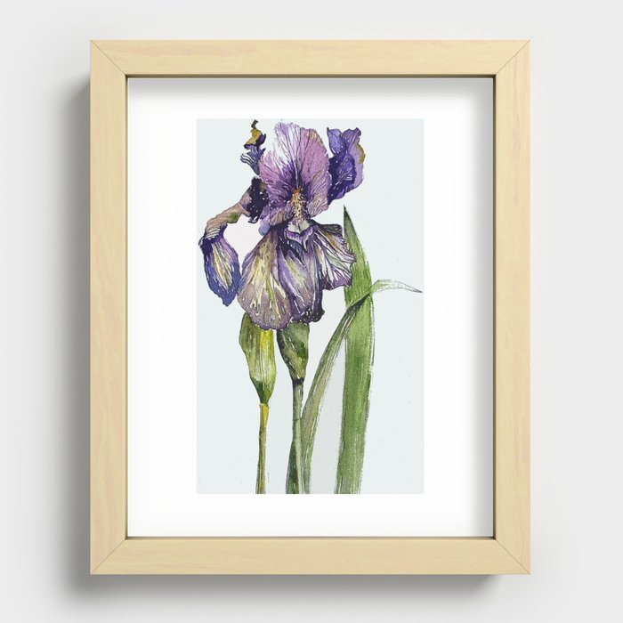 Iris Recessed Framed Print