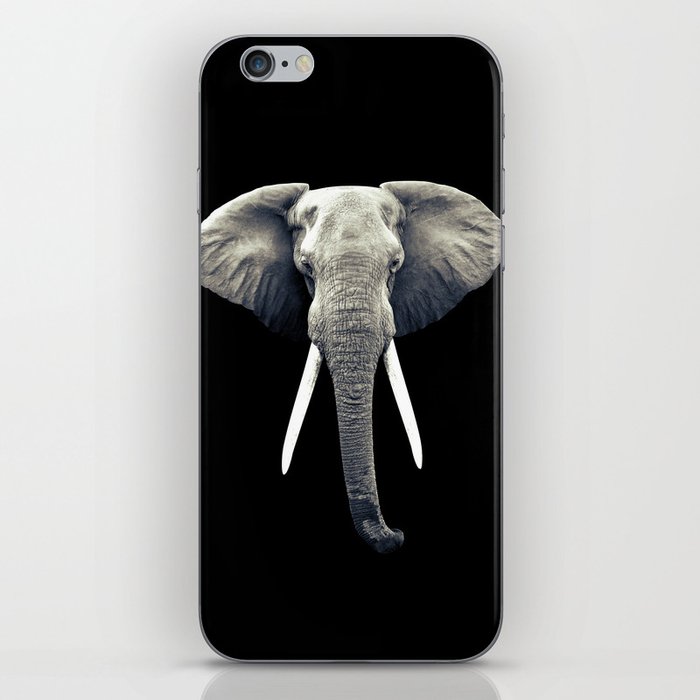 Elephant Portrait iPhone Skin
