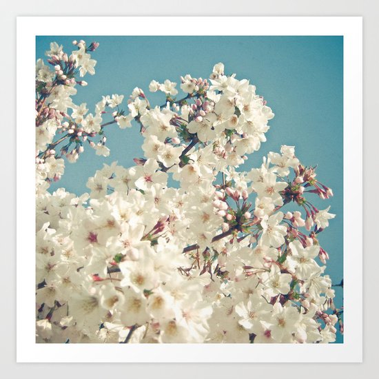 Buds in May Art Print