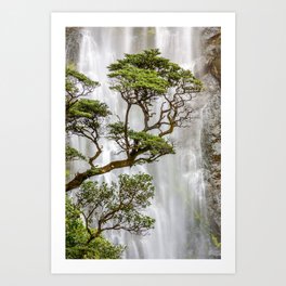 Trees and Waterfall Art Print