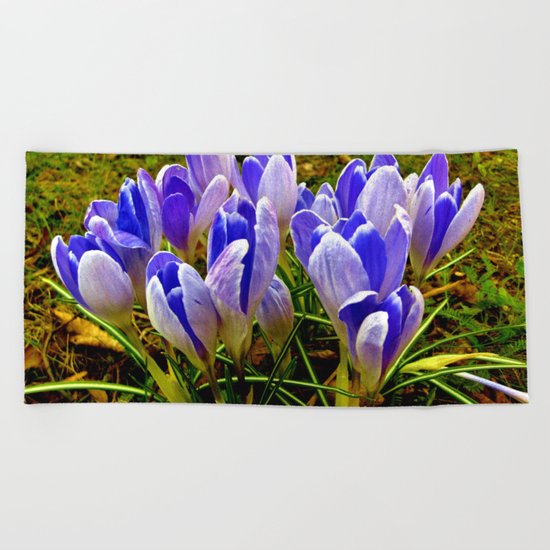 Blue Purple Crocuses Beach Towel